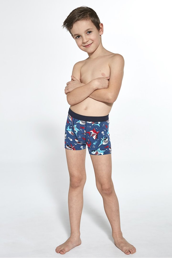 Buy Boys' Shorts, Denim/Red turquoise, 701-21 108 Shark, 110-116, Cornette