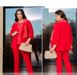 Three piece suit №1494-Red, 50-52, Minova
