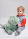 Set for baby, hoodie and pants, Grey-red, 1051, 74, Kinderly