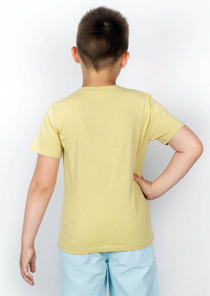 Buy T-shirt for a boy No. 001/12028, 152-156, Roksana