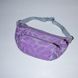 Belt bag lilac Feathers