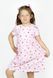 Buy Girl's dress №0080/16086, 140-146, Roksana